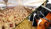 بررسی قضایی تمامی بنادر و گمرکات کشور برای جلوگیری از انباشت غیرضروری کالاها
