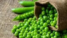 حذف حبوبات، برنج و روغن پالم از فهرست ارز ترجیحی
