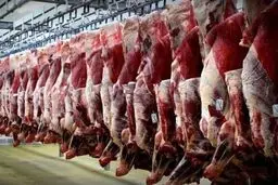 کشتار روزانه حدود ۱۸ تن دام در همدان