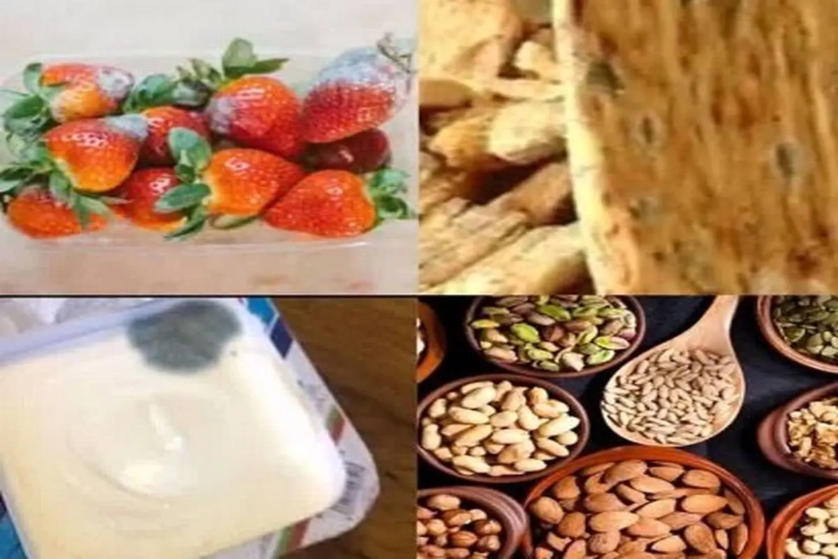 مواد کپک‌زده دور ریخته شوند
