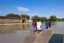 سیلاب دشتیاری چرا مخرب است؟