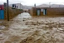 سوانح طبیعی در زمان تحولات سیاسی
