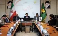 تبدیل وضعیت ۱۷۰ نفر از فرزندان جانبازان و ایثارگران در شرکت توزیع برق استان همدان

