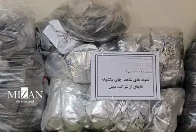 در حاشیه بازدید رئیس قوه قضاییه از مجتمع قضایی تخصصی ویژه رسیدگی به جرائم اقتصادی تهران