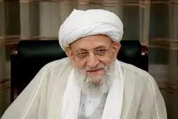 آیت‌الله مهدوی‌کنی و میرحسین موسوی در یک قاب + عکس