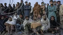 باز هم افغانی‌بگیر