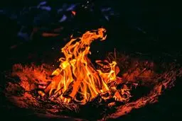 آتش‌سوزی گسترده پارکی در قرچک