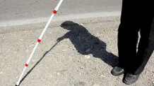 بهزیستی از مسئولیت خود شانه خالی می‌کند


