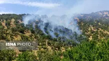 آتش سوزی کوه دراک شیراز مهار شد