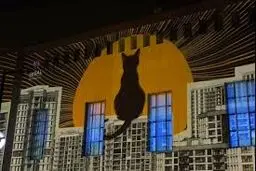 چرا  هفته  دیزاین تهران در  پردیس هنرهای  زیبا  توقیف شد؟
