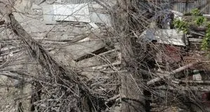 خطاهای پرهزینه، بدون ‌عذرخواهی