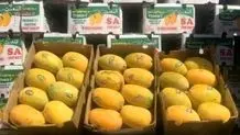ممنوعیت  واردات انبه را تا اطلاع ثانوی