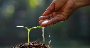 خاک در تب تغییر اقلیم