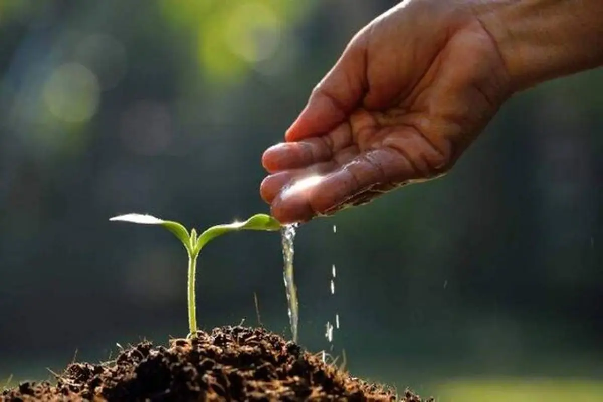 خاک در تب تغییر اقلیم