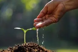 خاک در تب تغییر اقلیم