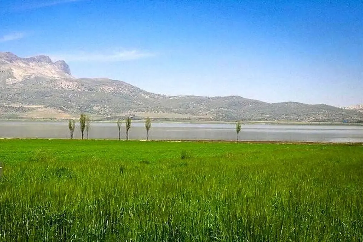  سند تک برگ تالاب ارژن صادر شد 
