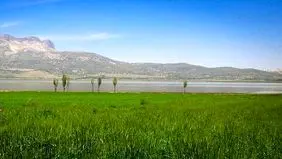 سند تک برگ تالاب ارژن صادر شد 