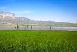  سند تک برگ تالاب ارژن صادر شد 