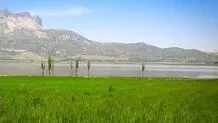  سند تک برگ تالاب ارژن صادر شد 