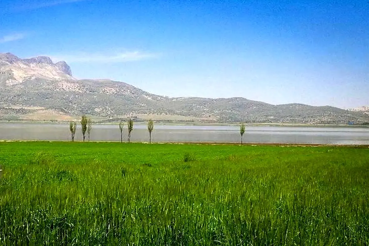  سند تک برگ تالاب ارژن صادر شد 