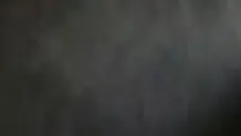 هم اکنون بارش بی امان برف در توچال+ ویدئو