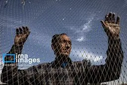 تصاویر دیدنی از بازار کبوترفروشان تهران