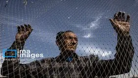 تصاویر دیدنی از بازار کبوترفروشان تهران