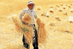 وعده‌های ادامه‌دار  مسئولان