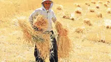 وعده‌های ادامه‌دار  مسئولان