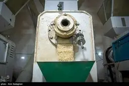 ممنوعیت واردات برنج در فصل برداشت لغو شد + سند