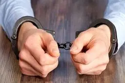 دستگیری سارق حرفه‌ای در مهران
