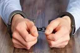 دستگیری سارق حرفه‌ای در مهران
