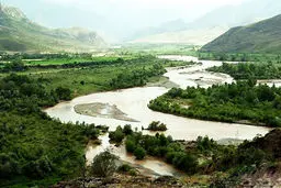 ردیابی مسمومیت «ارس»