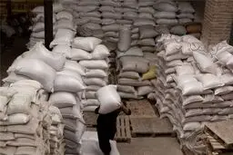 عامل گرانی برنج اعلام شد