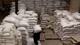 قیمت برنج همچنان در کانال ۴۵۰ تا ۵۵۰ هزار تومان