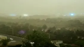 سقوط درخت روی دو خودرو در خیابان آزادی/ در هنگام وزش باد شدید در جای امن توقف کنید
