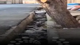 امام جمعه این شهر دست به بیل شد + ویدئو