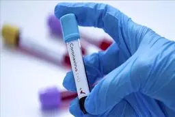 احتمال افزایش بروز کرونا طی ۳ هفته آتی