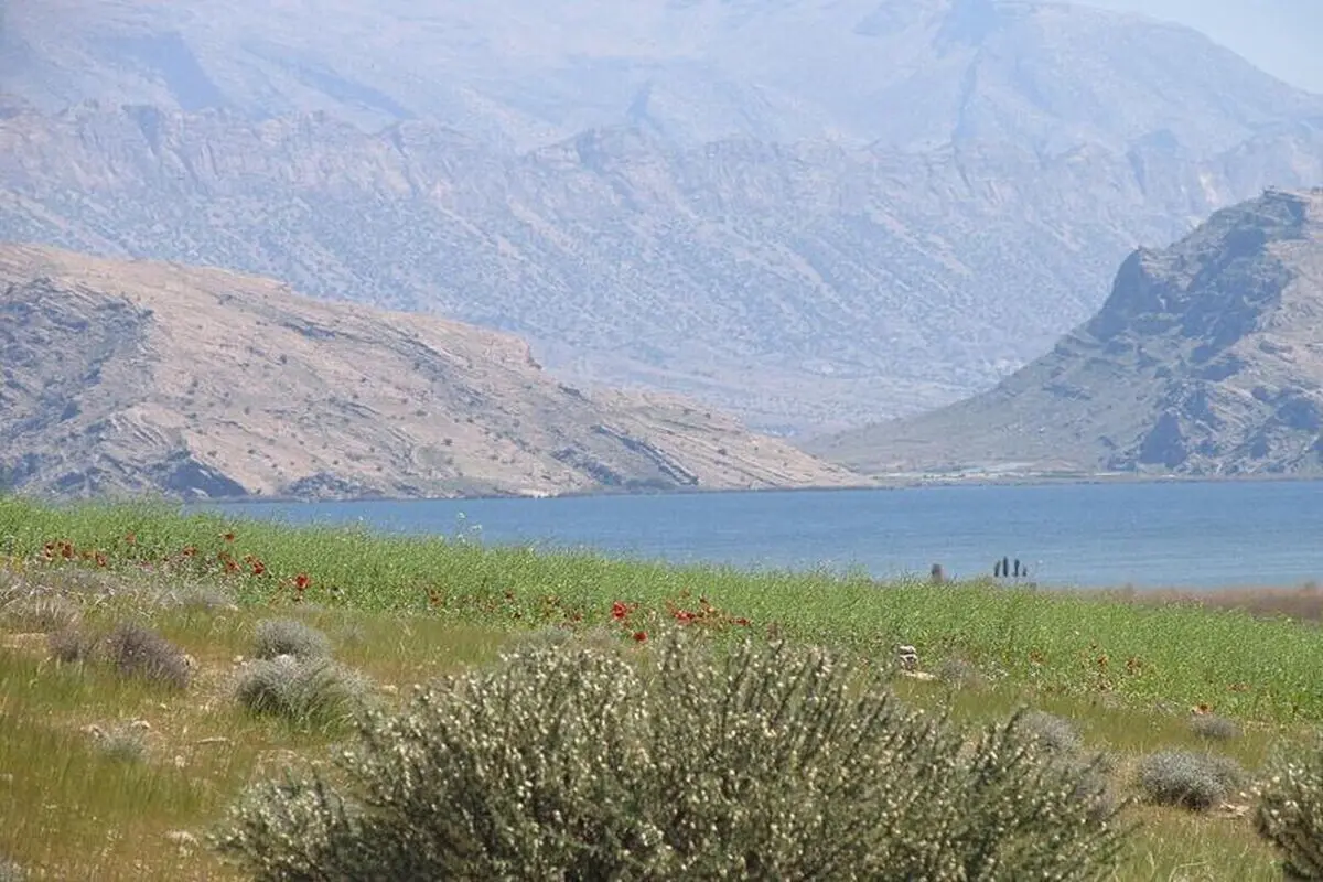 سند تک‌برگ تالاب پریشان به اسم محیط زیست صادر شد 
