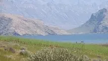 سند تک‌برگ تالاب پریشان به اسم محیط زیست صادر شد 