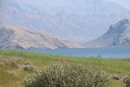 سند تک‌برگ تالاب پریشان به اسم محیط زیست صادر شد 