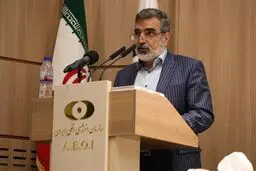 Iran notified IAEA of Natanz construction work: AEOI Spox.