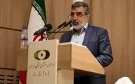 Iran notified IAEA of Natanz construction work: AEOI Spox.