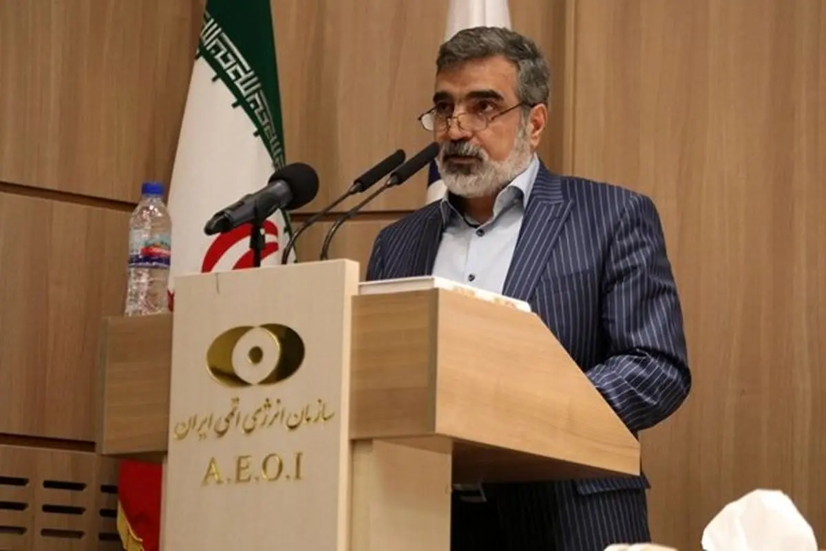 Iran notified IAEA of Natanz construction work: AEOI Spox.