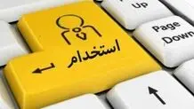 این افراد در دولت استخدام می شوند 
