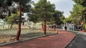 خبر و تکذیبیه عجیب درباره باشگاه انقلاب