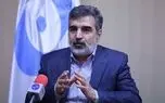 ممانعت آمریکا از حضور ایران در نشست آژانس، مخرب و کودکانه است