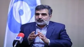 کمالوندی: صنعت هسته‌ای متوقف نخواهد شد + ویدئو