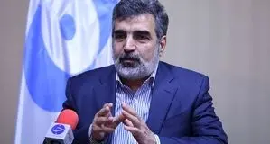 سازمان انرژی اتمی دستور اردوغان برای توقیف دارایی‌های ایران را تکذیب کرد