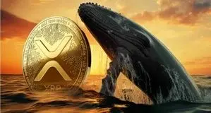 نهنگ‌ها در ریپل فعال شدند/ پیش‌بینی قیمت ریپل